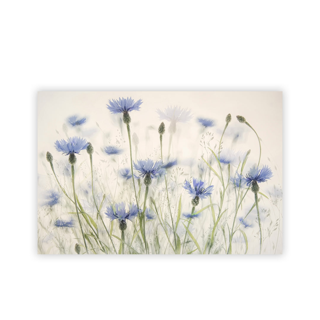 "Cornflowers" Acrylic Wall Art