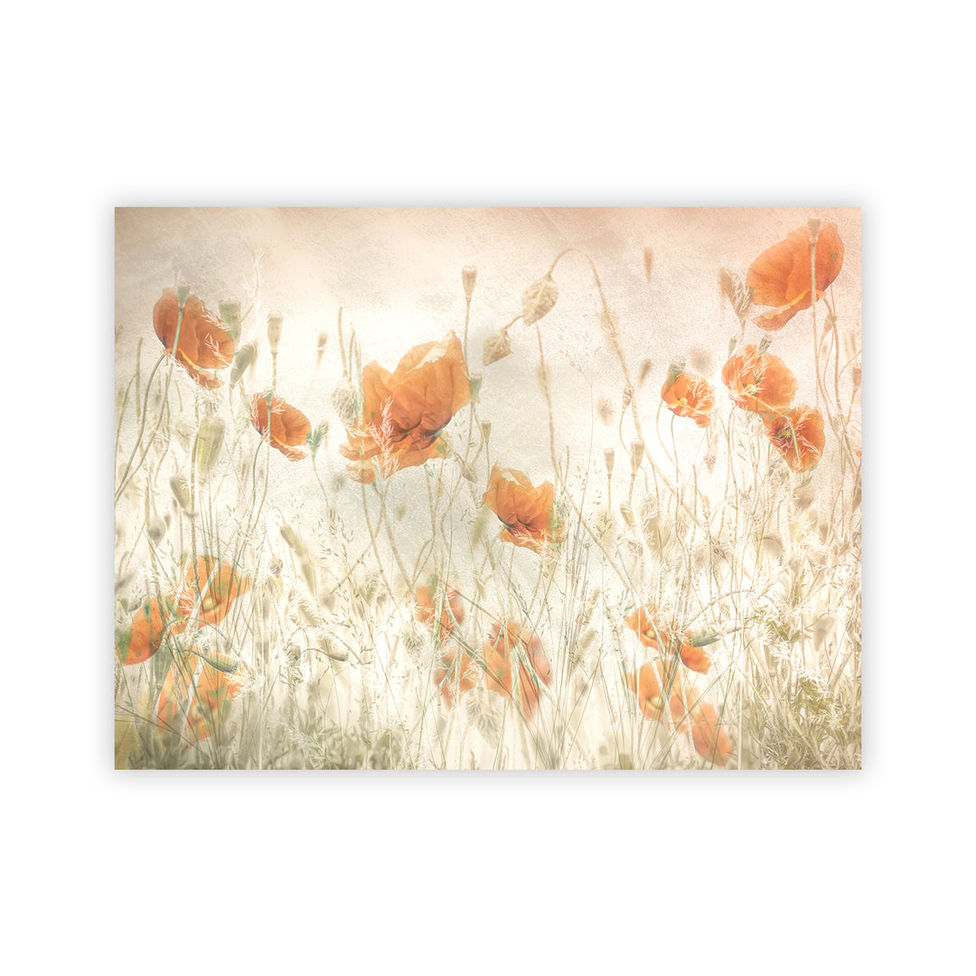 "Poppy Field" Acrylic Wall Art