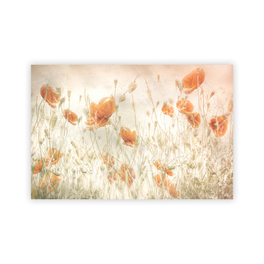 "Poppy Field" Acrylic Wall Art