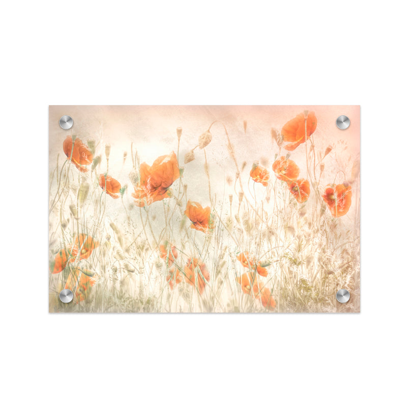 "Poppy Field" Acrylic Wall Art