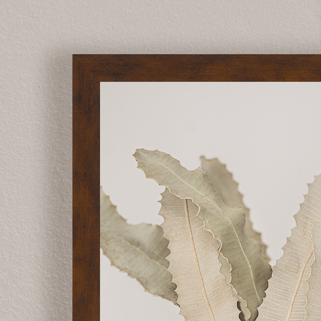 "Banksia" Framed Print Wall Art