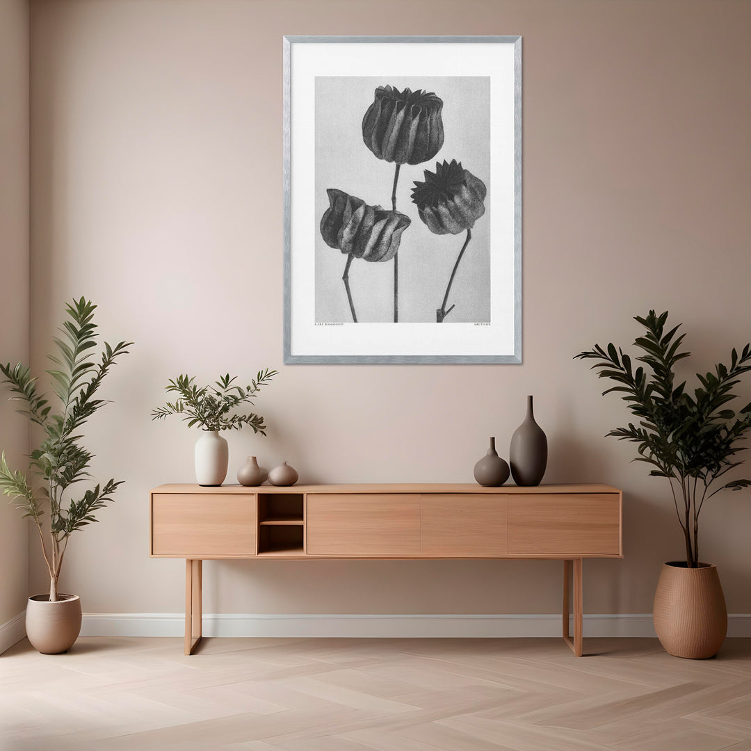 "Lime Mallow" Framed Print Wall Art