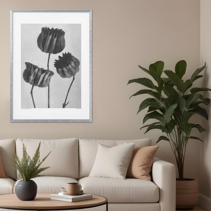 "Lime Mallow" Framed Print Wall Art