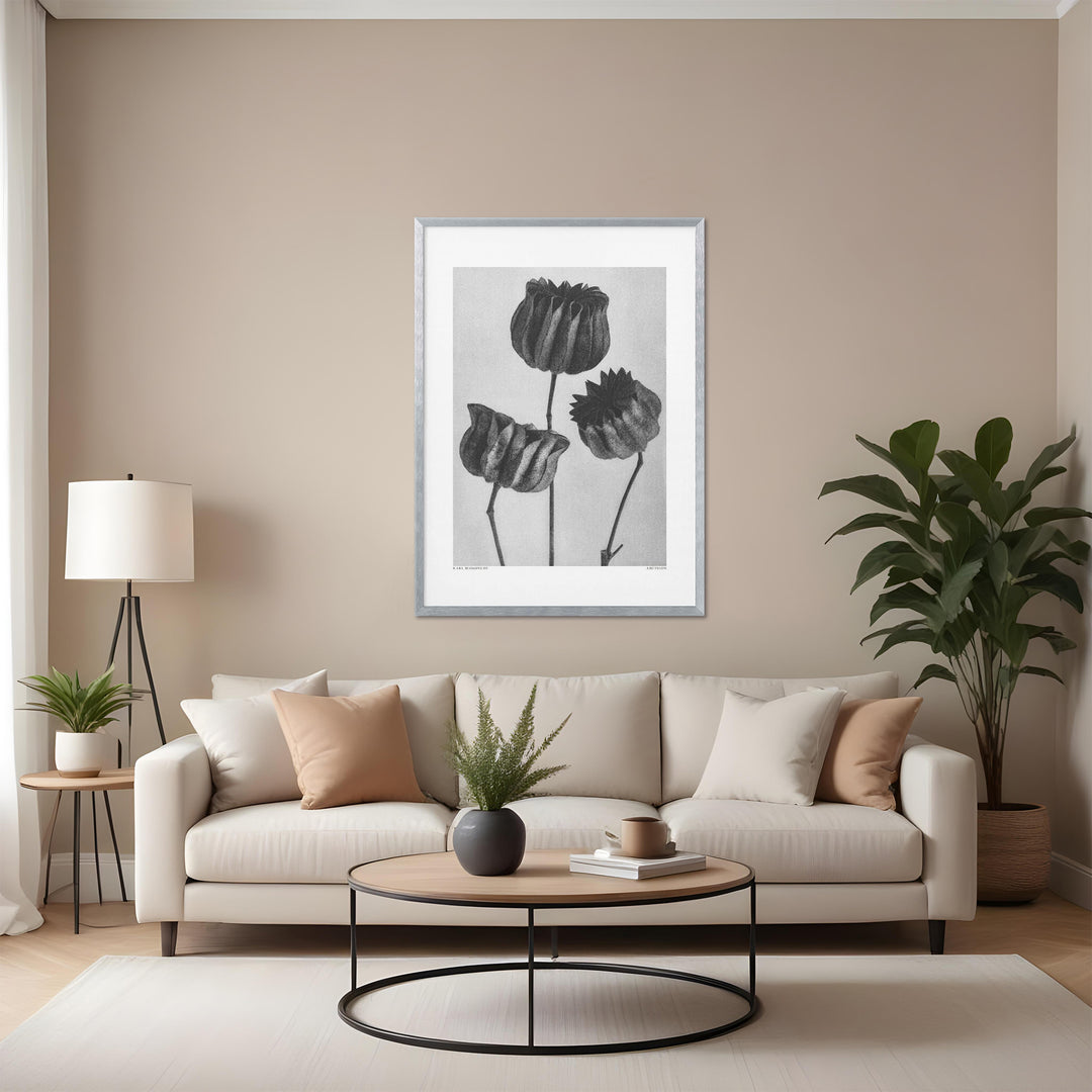 "Lime Mallow" Framed Print Wall Art