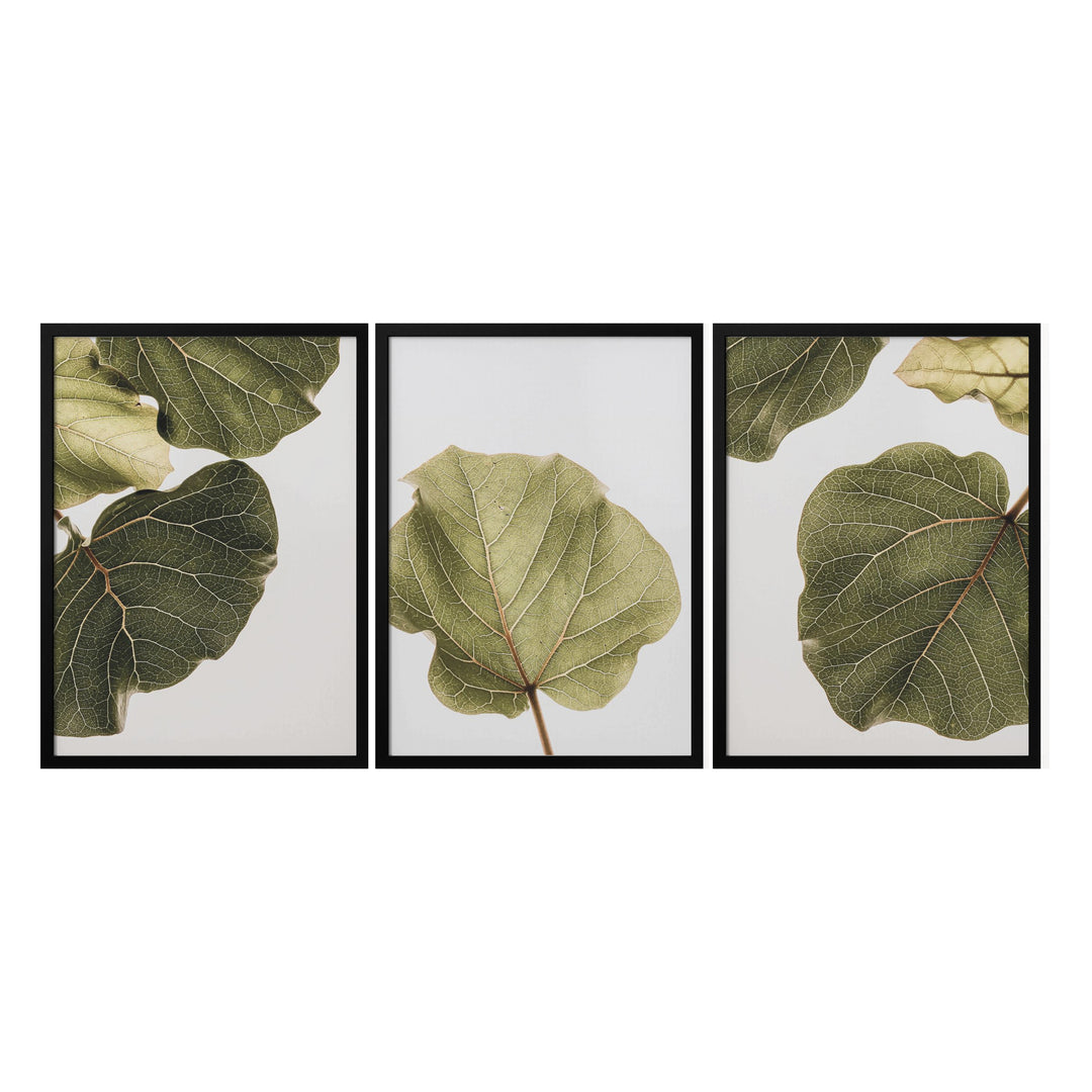 "Abutifolia Noe" Set of Three Framed Textured Wall Art