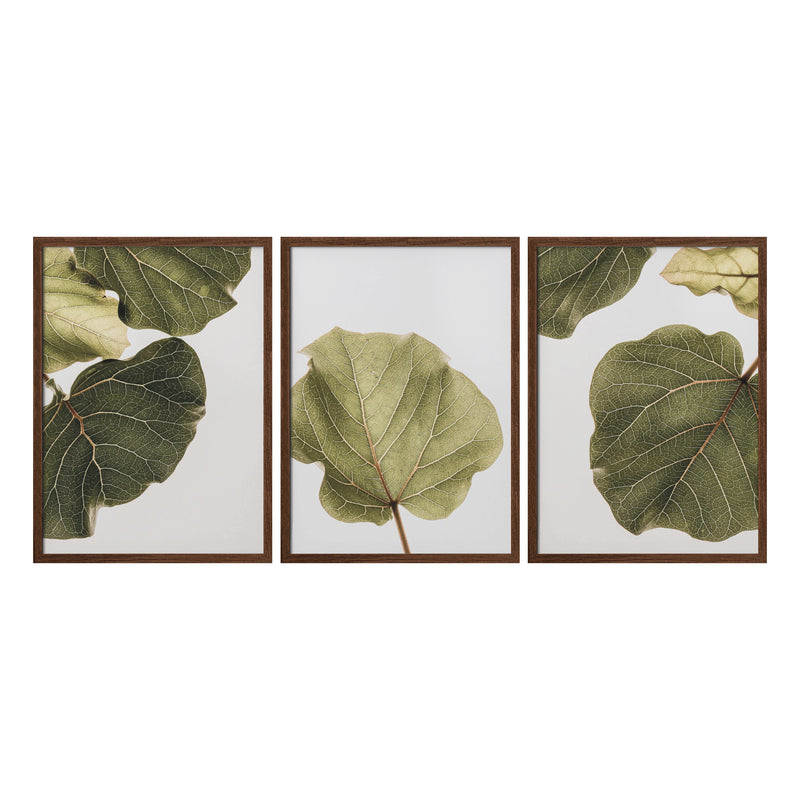 "Abutifolia Noe" Set of Three Framed Textured Wall Art