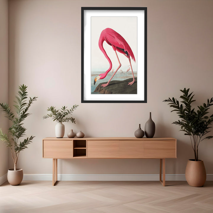"Pink Flamingo Ii From Birds of America (1827)" Framed Matted Print Wall Art