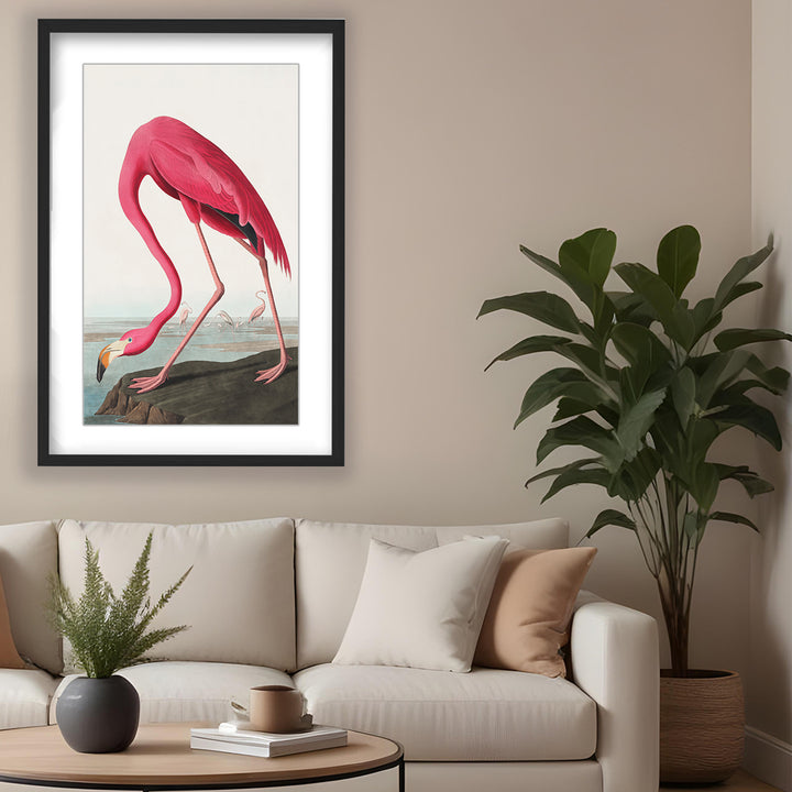 "Pink Flamingo Ii From Birds of America (1827)" Framed Matted Print Wall Art