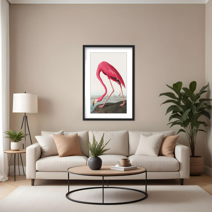 "Pink Flamingo Ii From Birds of America (1827)" Framed Matted Print Wall Art