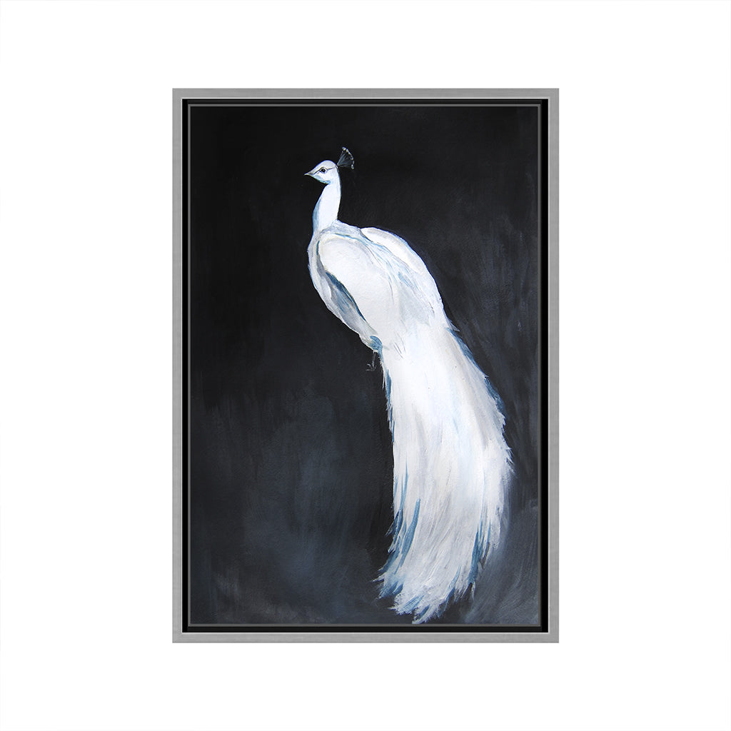 Open Box · Alabaster Majesty: White Peacock Against The Night by Christine Lindstrom