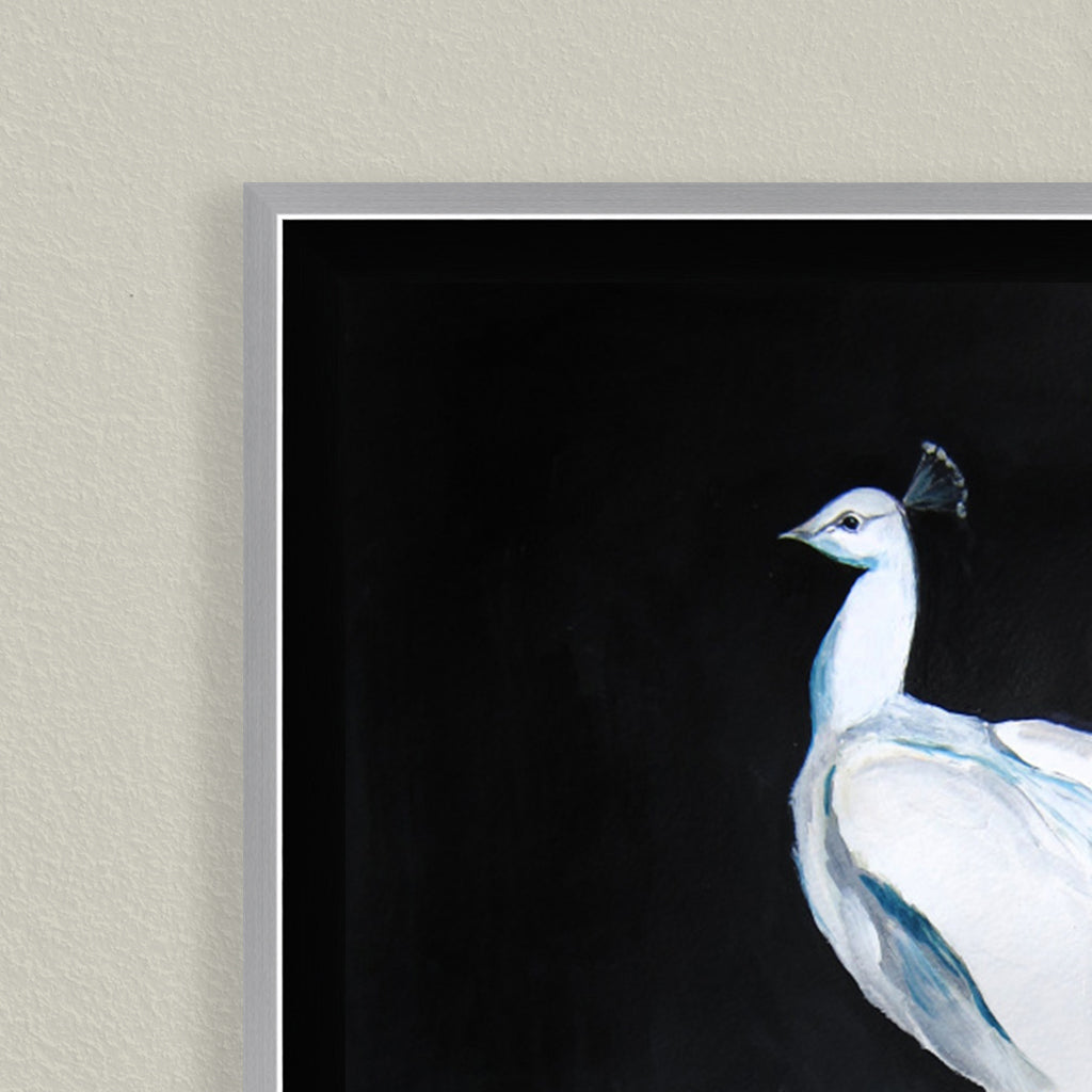 "Alabaster Majesty: White Peacock against the Night" Framed CanvasWall Art