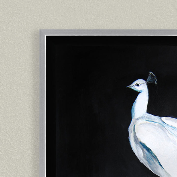 "Alabaster Majesty: White Peacock against the Night" Framed CanvasWall Art