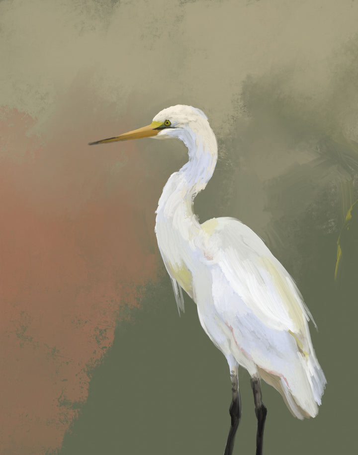 "Elegant Egret Portrait" by Josie George — Animal Wall Art