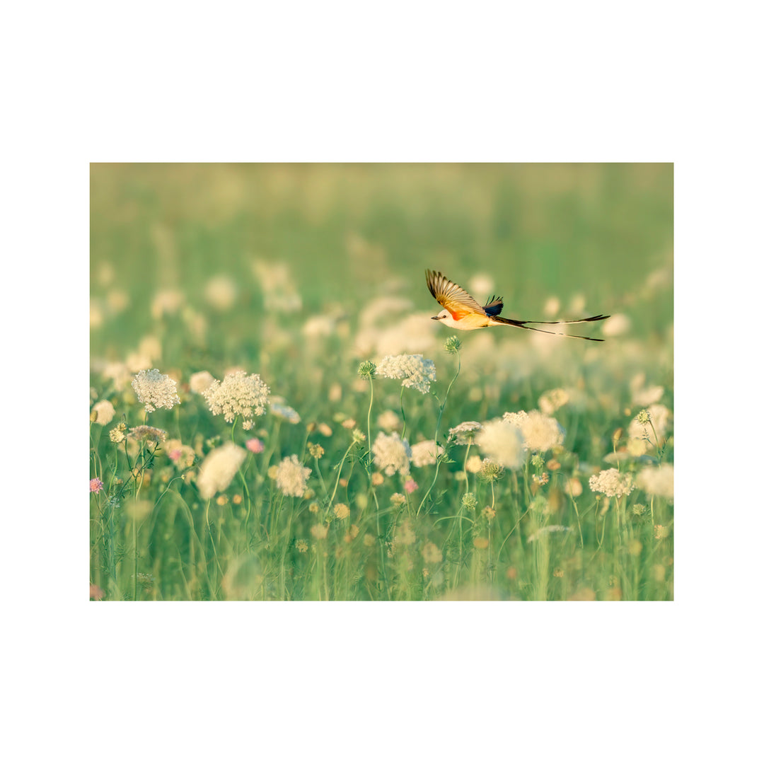 "Spring Messager" Acrylic Wall Art