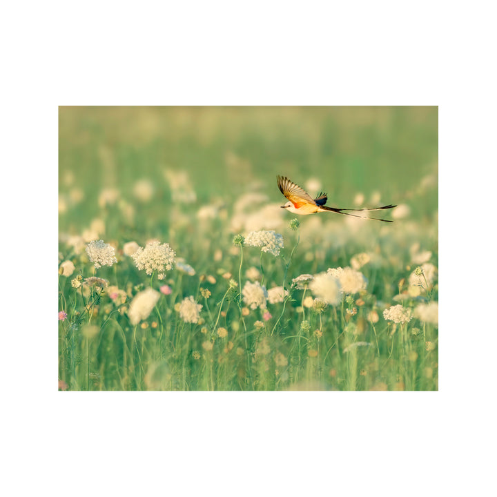 "Spring Messager" Acrylic Wall Art