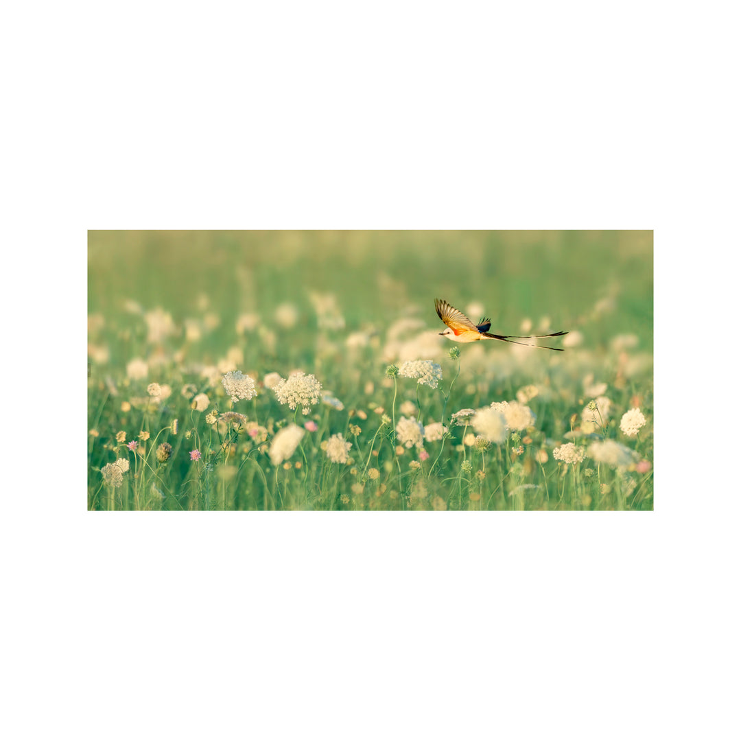 "Spring Messager" Acrylic Wall Art