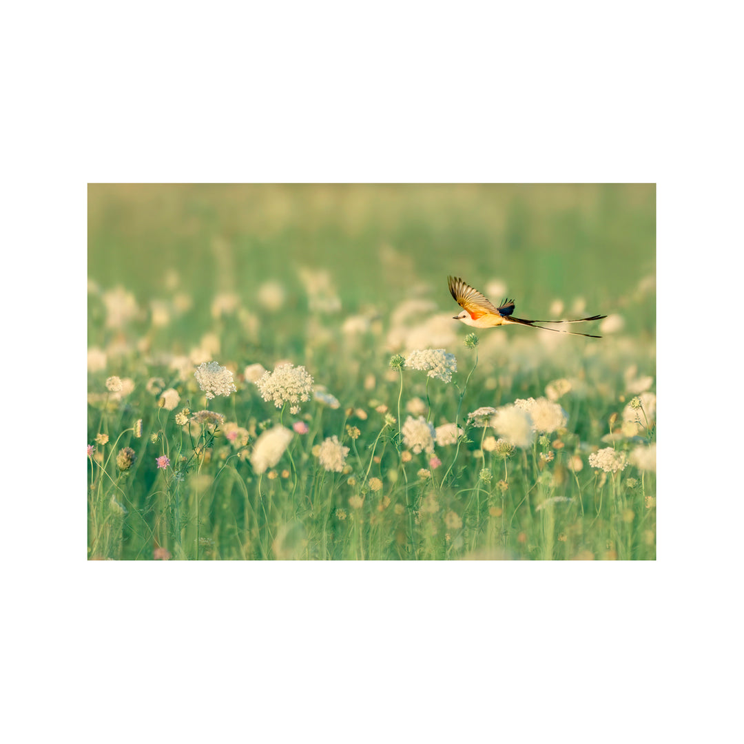 "Spring Messager" Acrylic Wall Art
