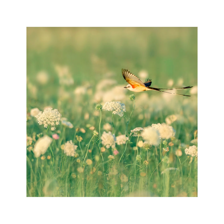 "Spring Messager" Acrylic Wall Art