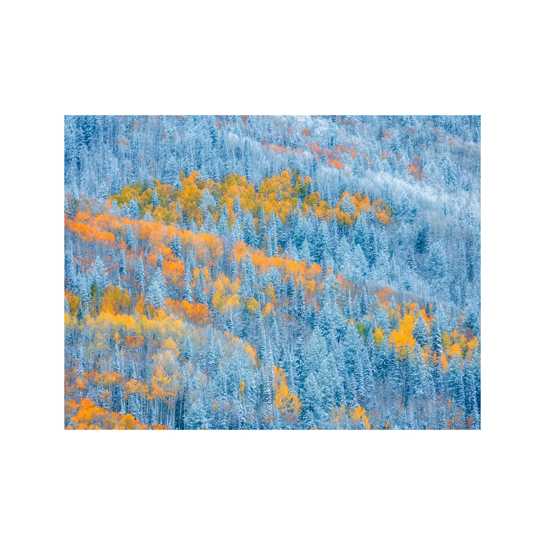 "Transition of Seasons" Acrylic Wall Art