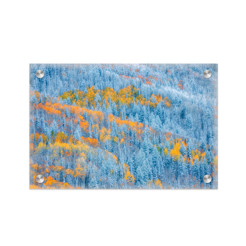 "Transition of Seasons" Acrylic Wall Art