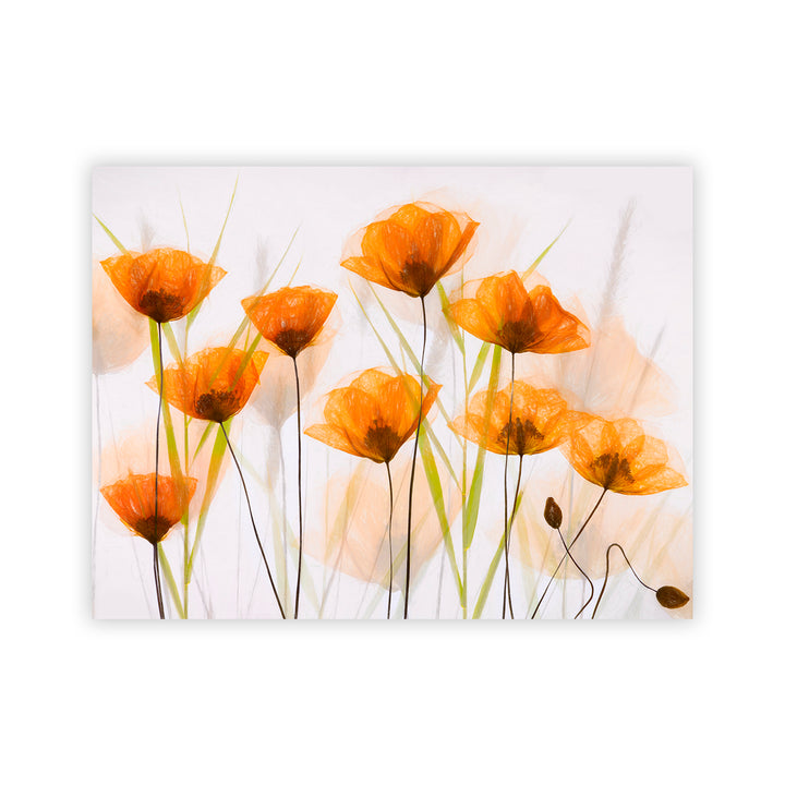 "Breezy Poppies" Acrylic Wall Art