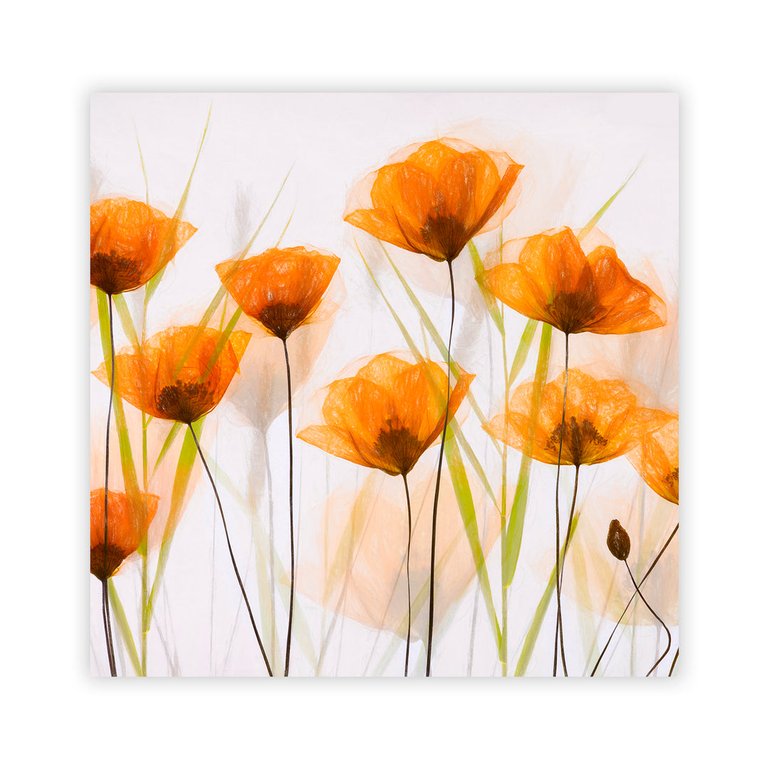"Breezy Poppies" Acrylic Wall Art