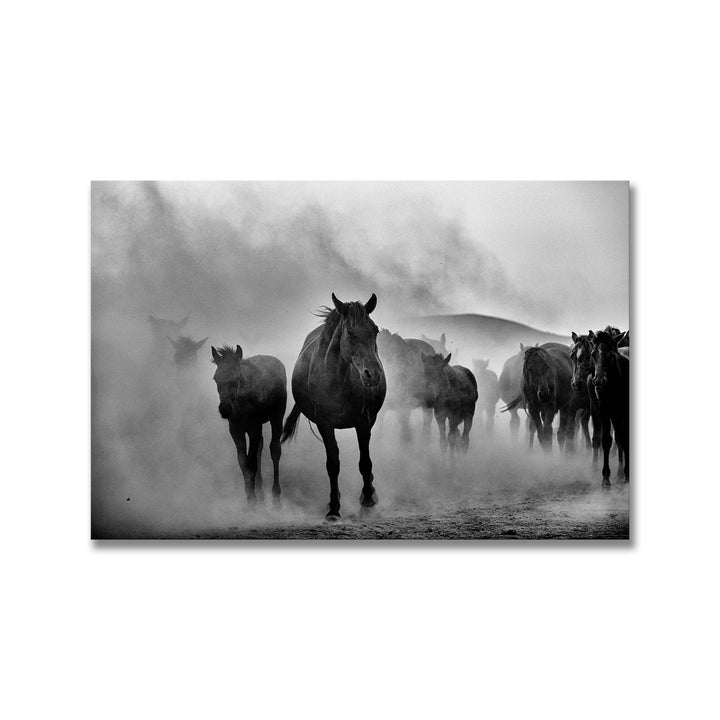 "Untitled" Framed Print Wall Art by M. Emre Erol