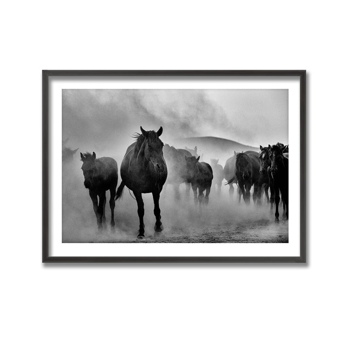 "Untitled" Framed Print Wall Art by M. Emre Erol