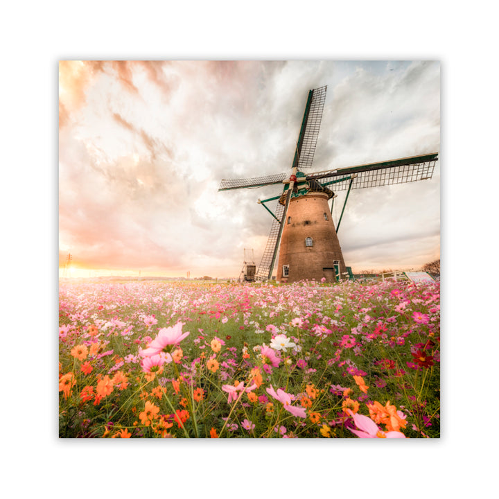 "Windmill Blossoms" Acrylic Wall Art
