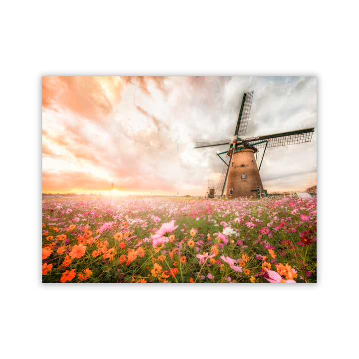 "Windmill Blossoms" Acrylic Wall Art