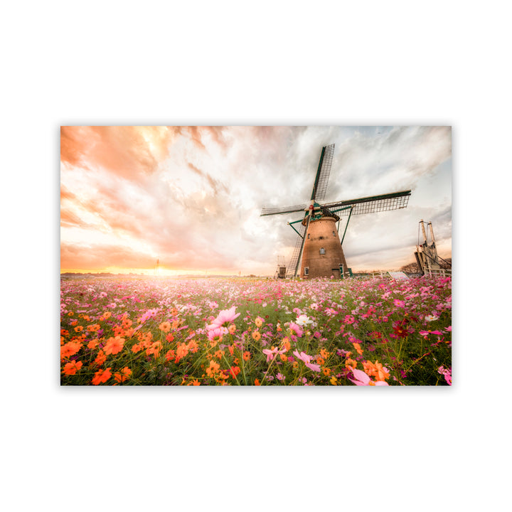 "Windmill Blossoms" Acrylic Wall Art