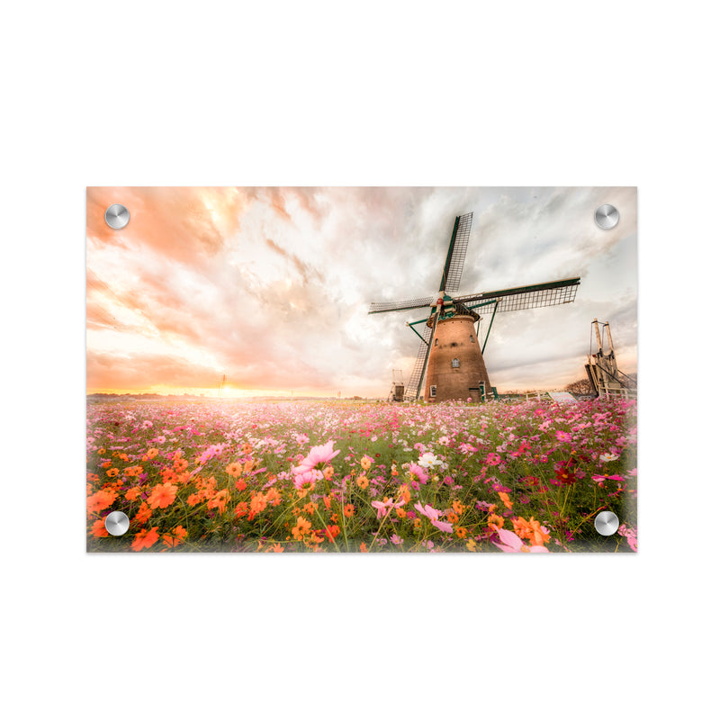 "Windmill Blossoms" Acrylic Wall Art