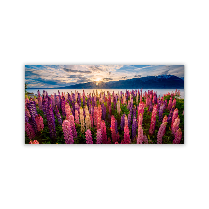 "Lupins Lakeside" Acrylic Wall Art