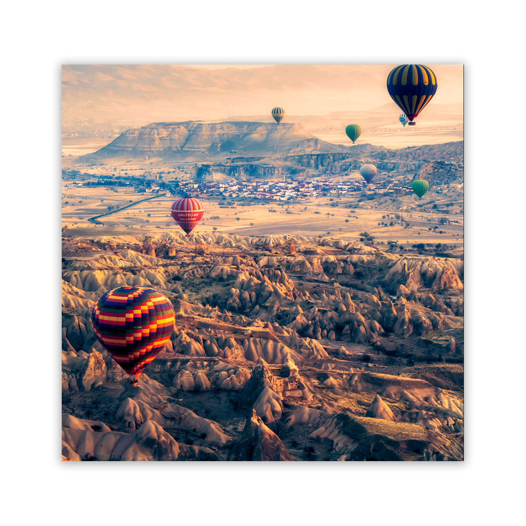 "Flight Path" Acrylic Wall Art