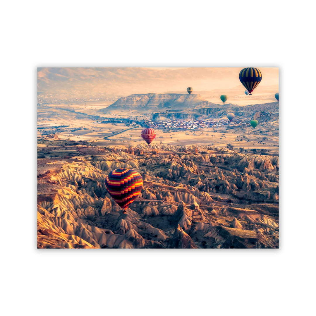"Flight Path" Acrylic Wall Art