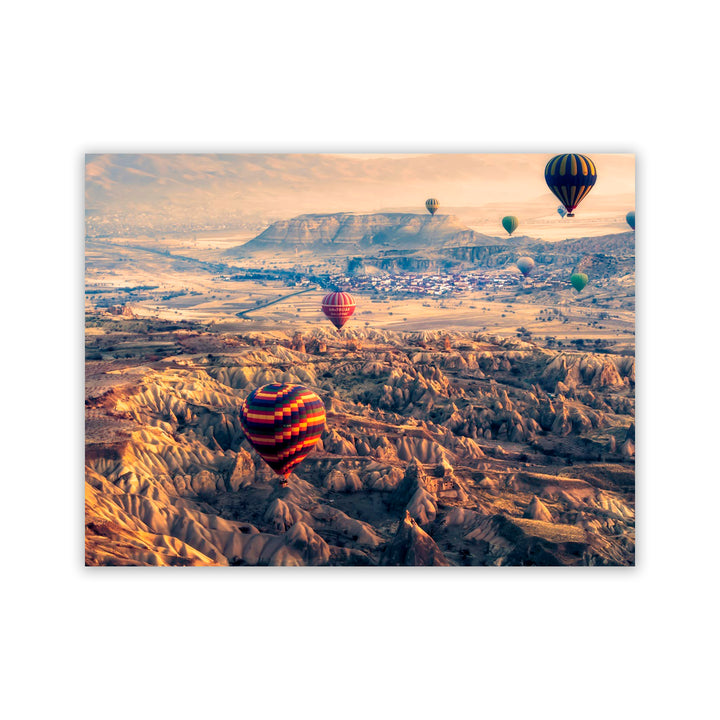 "Flight Path" Acrylic Wall Art