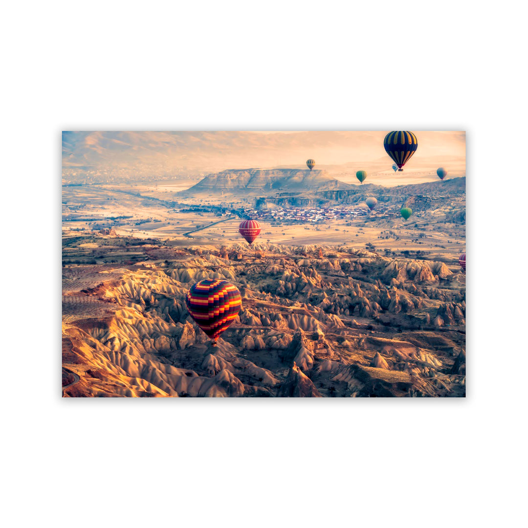 "Flight Path" Acrylic Wall Art