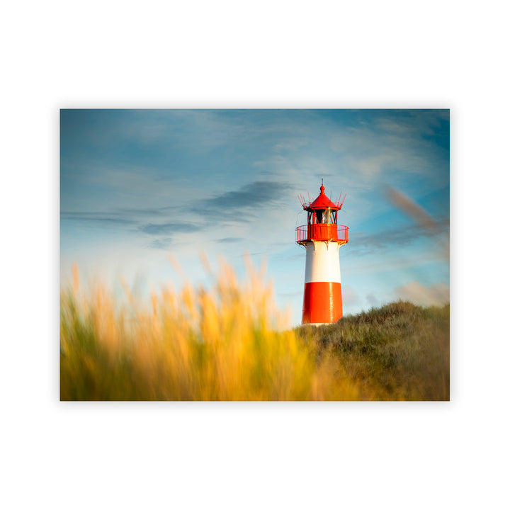 "Morning Hour" Acrylic Wall Art