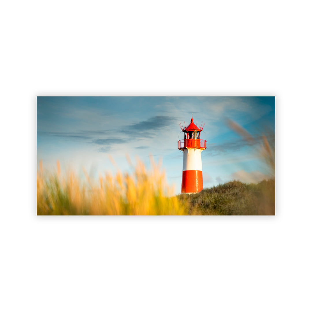 "Morning Hour" Acrylic Wall Art