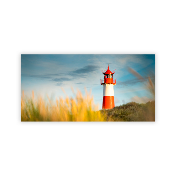 "Morning Hour" Acrylic Wall Art