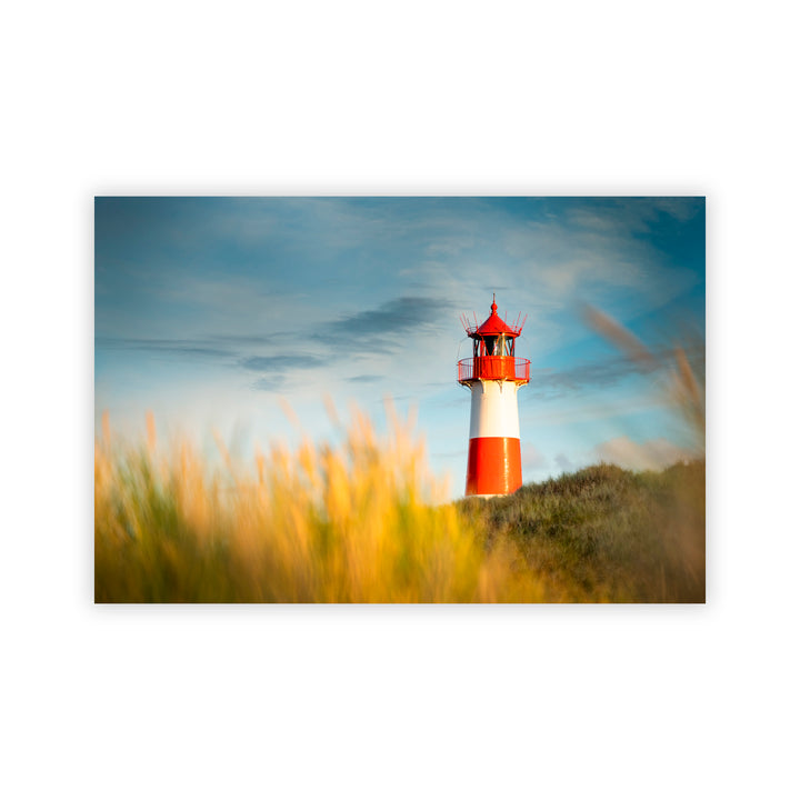 "Morning Hour" Acrylic Wall Art