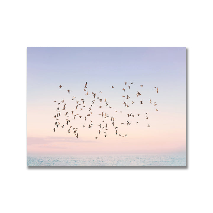 Open Box · Sunset Flight by Kathrin Pienaar