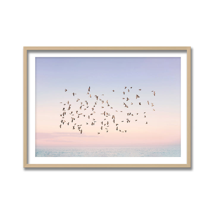"Sunset Flight" Framed Print Wall Art by Kathrin Pienaar