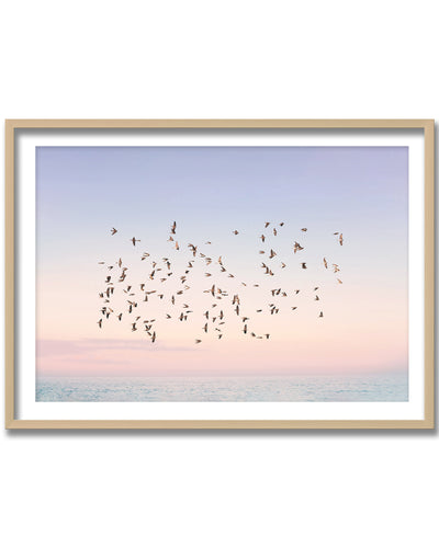 "Sunset Flight" Framed Print Wall Art by Kathrin Pienaar