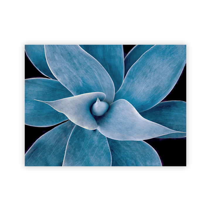 "Blue Succulent" Acrylic Wall Art