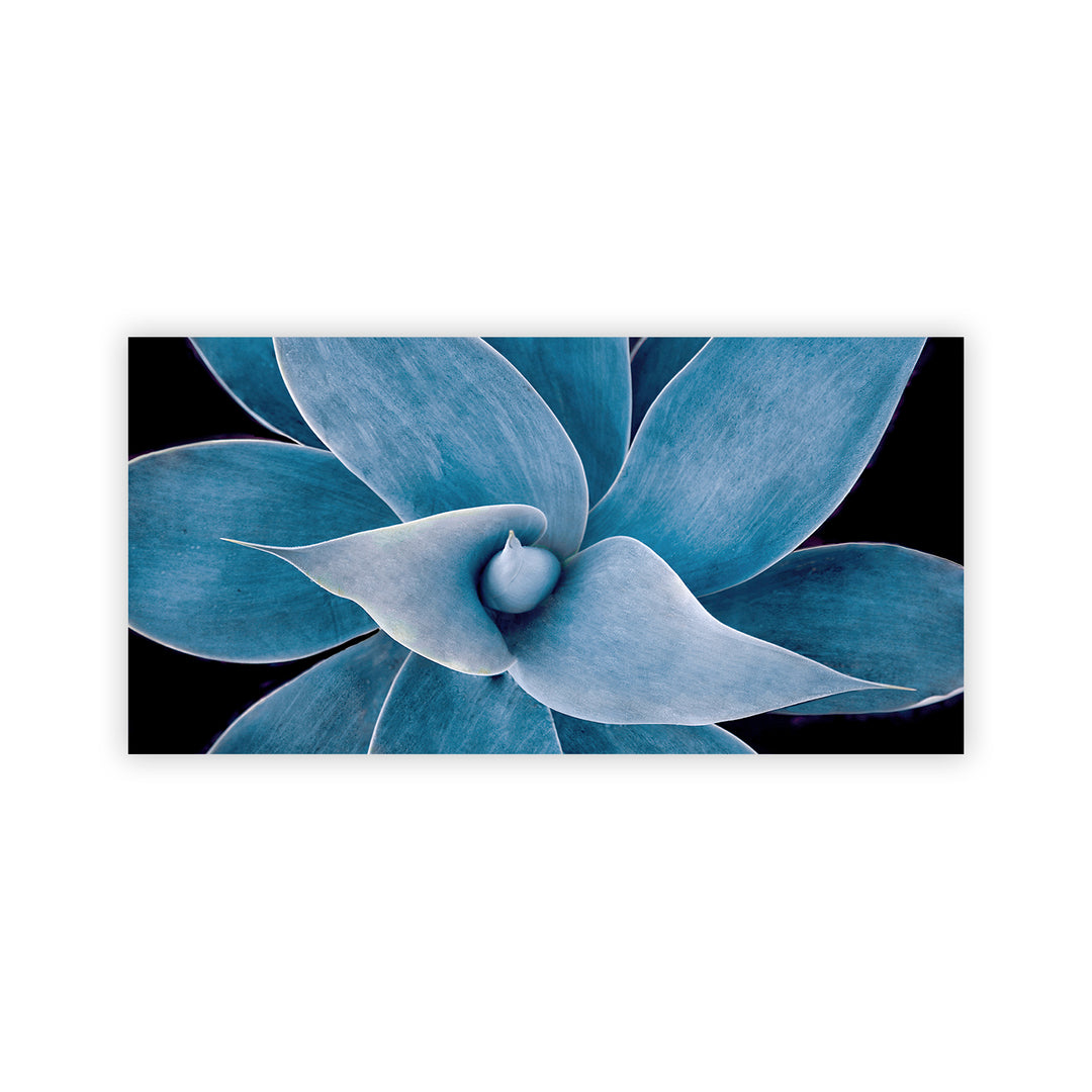 "Blue Succulent" Acrylic Wall Art