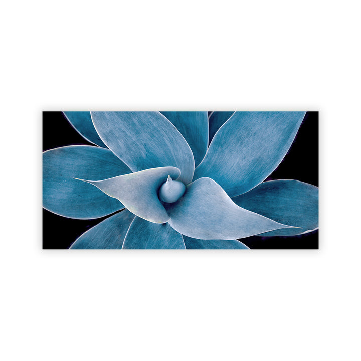 "Blue Succulent" Acrylic Wall Art