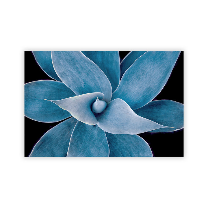"Blue Succulent" Acrylic Wall Art