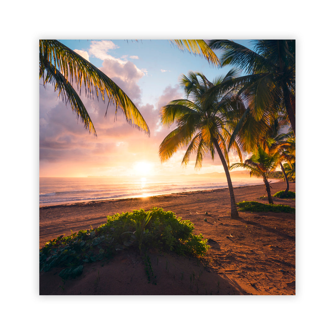 "Paradise Awakening" Acrylic Wall Art