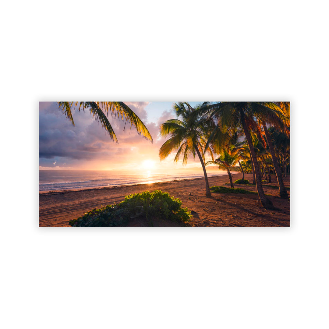 "Paradise Awakening" Acrylic Wall Art